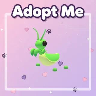 Praying Mantis