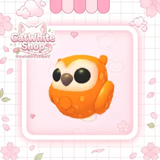 Clementine Owl