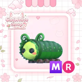 Pinkypillar MR