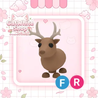 Reindeer FR
