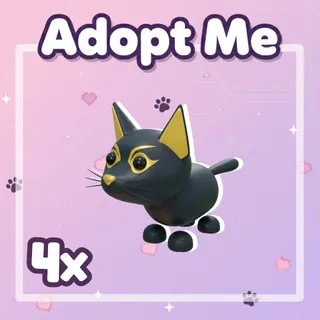 4x Abyssinian Cat