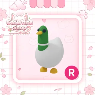 Silly Duck R
