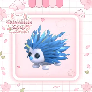 Icy Porcupine
