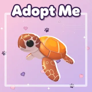Sea Turtle