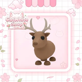 Reindeer