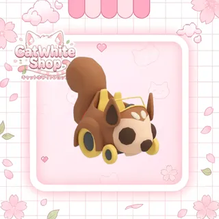 Squirrel Car