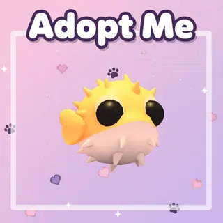 Puffer Fish