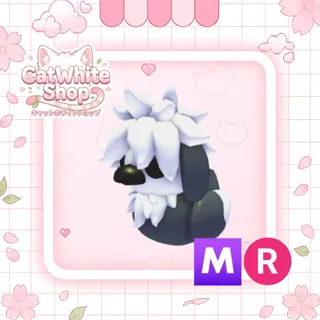 Sheepdog Ducky MR