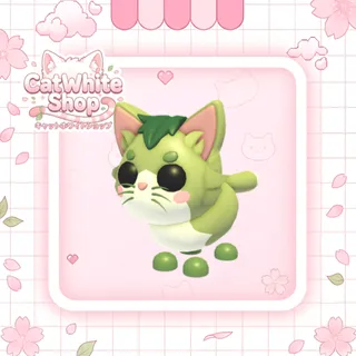 Matcha Cat
