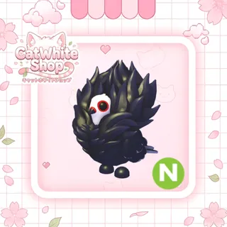 Neon Jacobin Pigeon