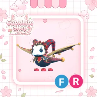 Jester Dragon FR