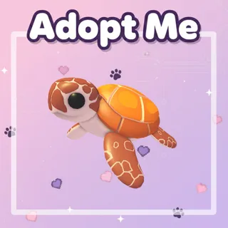 MFR Sea Turtle