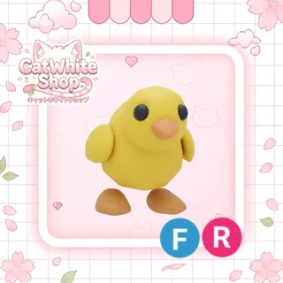 Chick FR