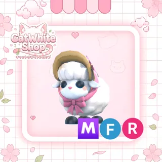 Little Lamb MFR