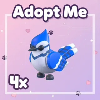 4x Blue Jay