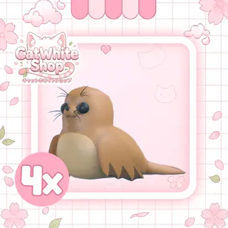 Galapagos Sea Lion x4