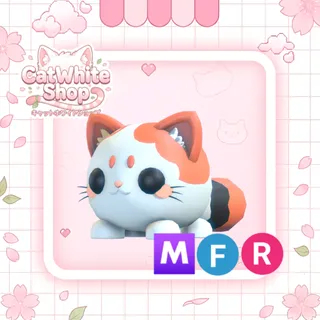 Mochi Meow MFR