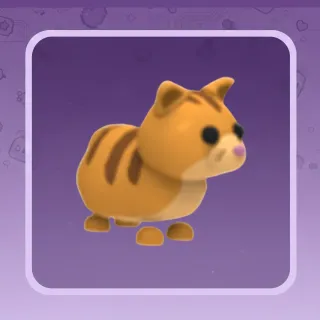 Ginger Cat | Adopt Me