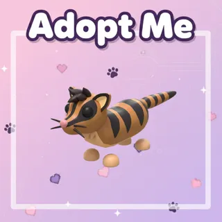 4x Banded Palm Civet