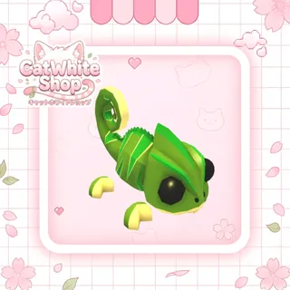 Chameleon