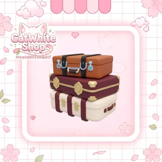 Back Luggage