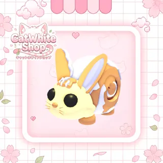 Bunny Swirl