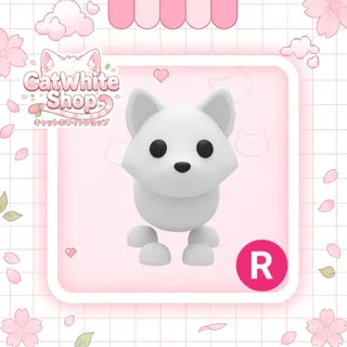 Arctic Fox R