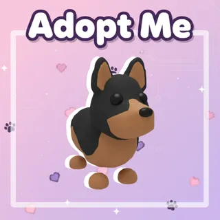 Australian Kelpie