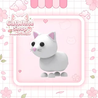 Snow Cat