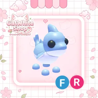 Shark Puppy FR