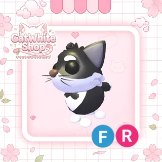 Tuxedo Cat FR