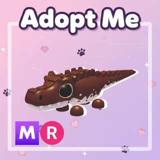 Cocoadile MR