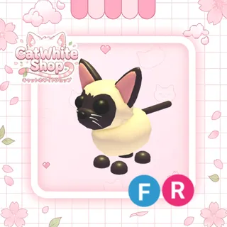 Siamese Cat FR