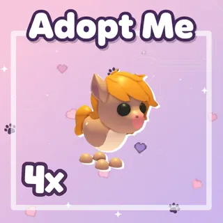 4x Show Pony