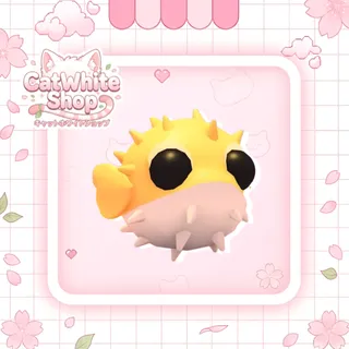 Puffer Fish
