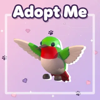 Hummingbird