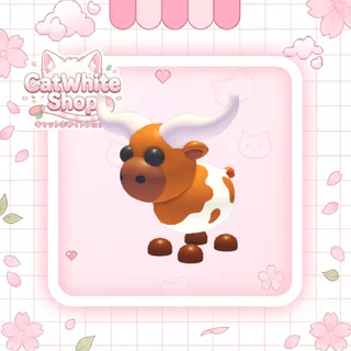 Longhorn Cow