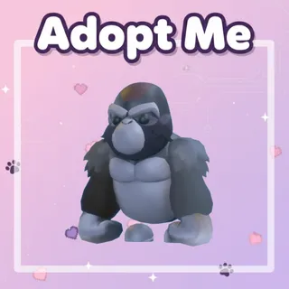 Silverback Gorilla