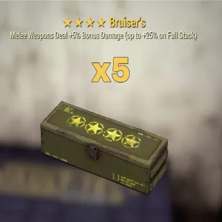 Bruiser's Mod Set (x5)