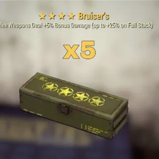 Bruiser's Mod Set