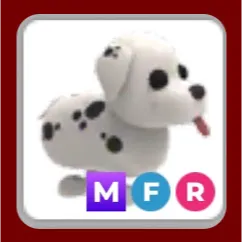 MFR Dalmatian