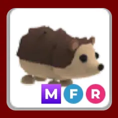 MFR Hedgehog