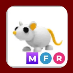 MFR Golden Rat