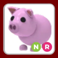 NR Pig