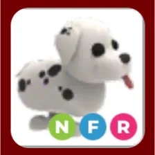 NFR Dalmatian