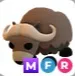 MFR Musk Ox