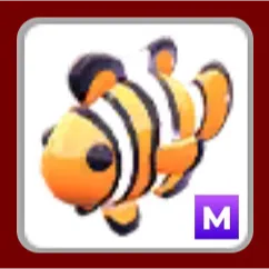 M Clownfish