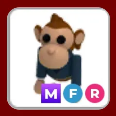 MFR Business Monkey