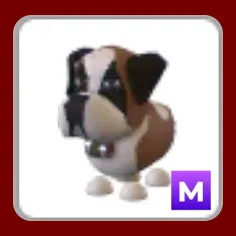 M St Bernard