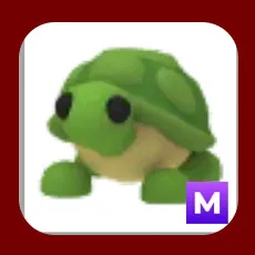 Turtle M